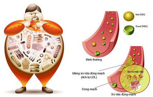 CÁC THUỐC ĐIỀU TRỊ RỐI LOẠN LIPID MÁU