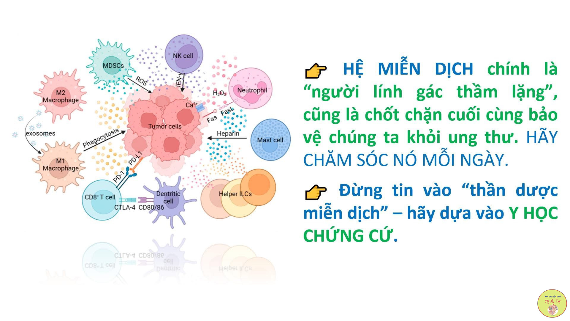 HỆ