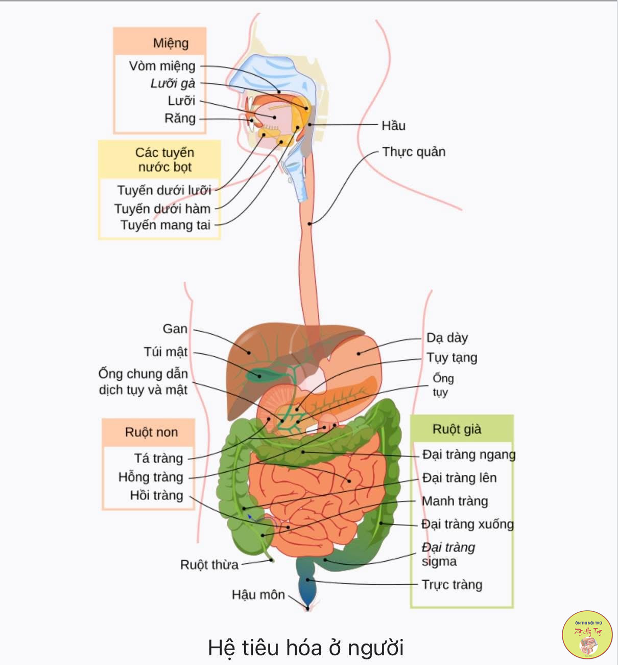 TỔNG