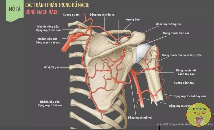 GIẢI