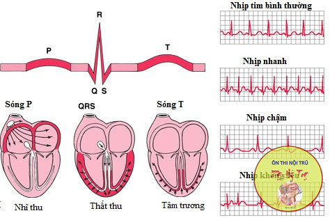 ĐIỆN