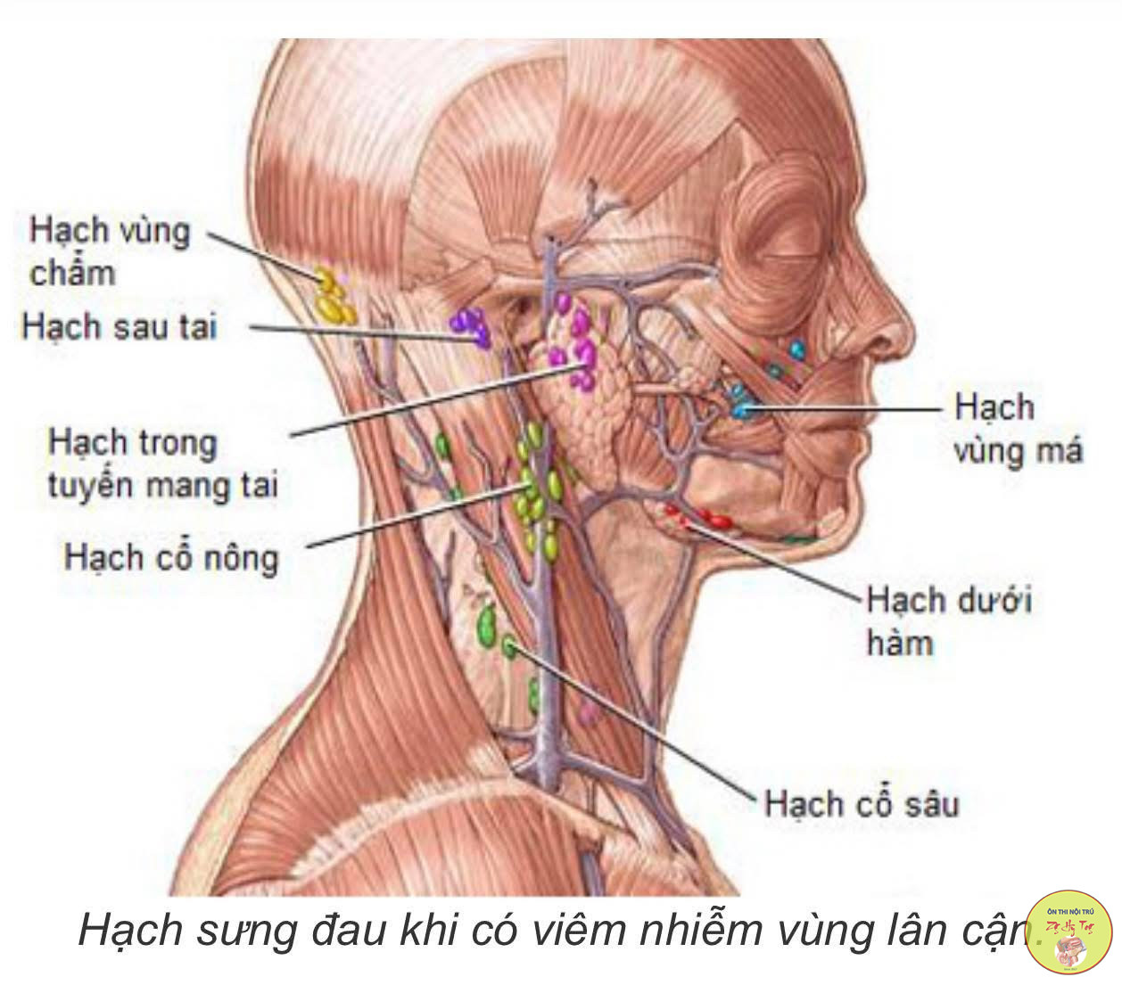 TỔNG