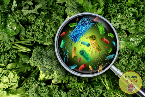 Trắc nghiệm vi sinh - truyền nhiễm ôn thi tốt nghiệp